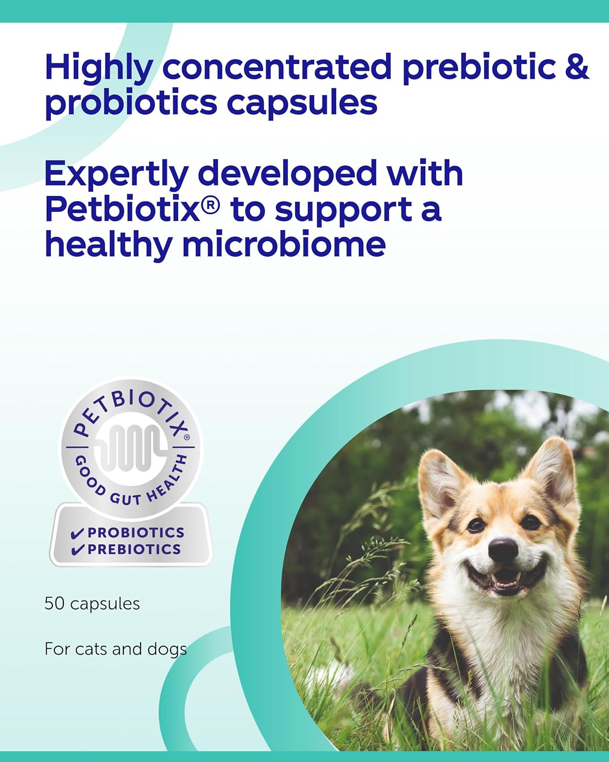 סי די תמונה סי די תמונה