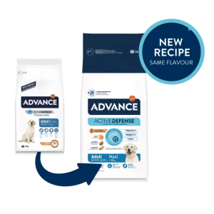 אדוונס כלב בוגר L גזע גדול 14 קג Advance אריזה חדשה