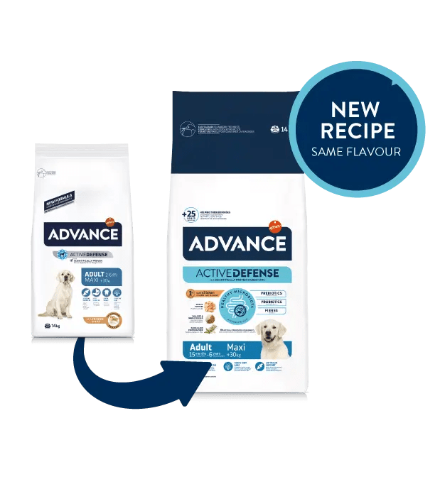 אדוונס כלב בוגר L גזע גדול 14 קג Advance אריזה חדשה