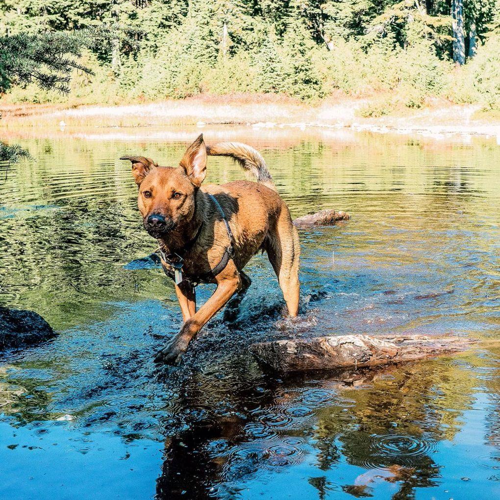 0df01c2c1265bd09dbd1