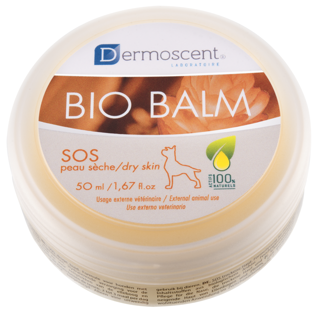 דרמו ביו באלם 2 דרמו ביו באלם 2