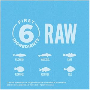 אוריגן סיקס פיש לכלב מודעה אוריגן סיקס פיש לכלב מודעה