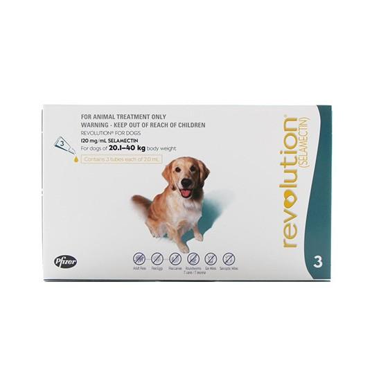 2297e61eda4b62efdc93 2297e61eda4b62efdc93