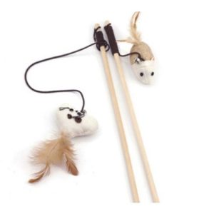 חכה לחתול 2 חכה לחתול 2