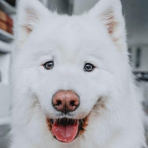 2f7735dfe799b7fb0a99 2f7735dfe799b7fb0a99