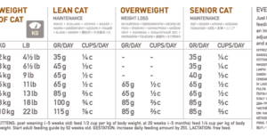 טבלת האכלה לחתולים בוגרים וגורים