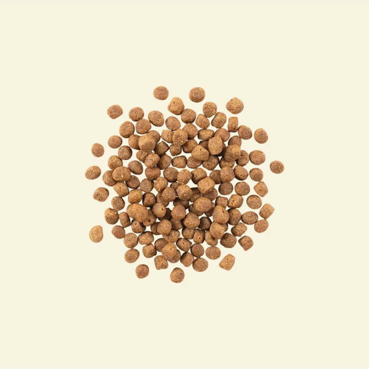 נאו חתול בוגר דגים 3.7 קג Now כופתאות