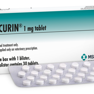 טיפול יומי באסטרול קצר טווח לבריחת שתן אצל נקבות לאחר עיקור – פתרון יעיל, מדויק ובטוח באינקיורין.