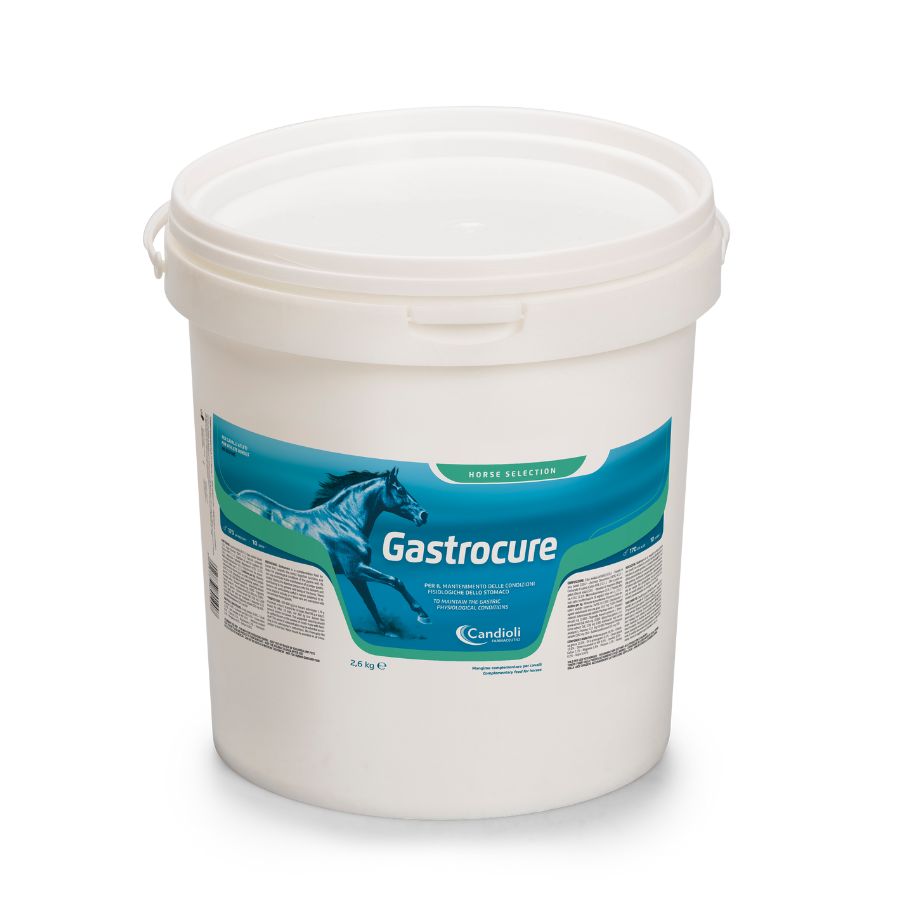 דלי 2.6 ק"ג Gastrocure – תוסף מזון מסיס לשמירה על רירית הקיבה של סוסים, עם חציר, סיבים טבעיים וויטמין E.