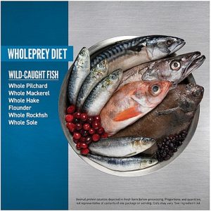 אוריגן סיקס םיש 6 קג תמונה כללית אוריגן סיקס םיש 6 קג תמונה כללית