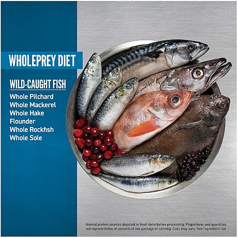 אוריגן סיקס םיש 6 קג תמונה כללית אוריגן סיקס םיש 6 קג תמונה כללית