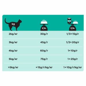 טבלת האכלה לחתולים פרו פלאן