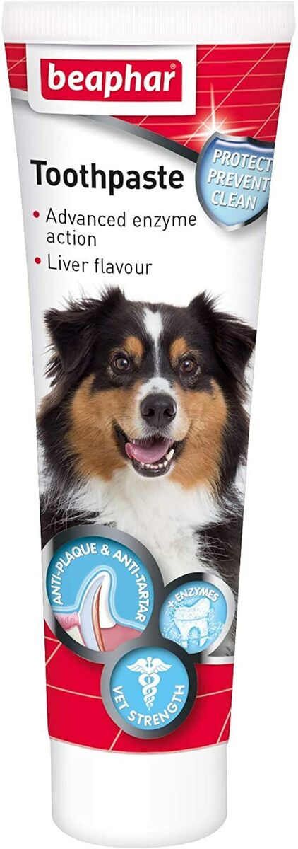 ביהפר משחת שיניים בטעם כבד Beaphar