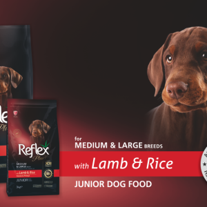 54c8688e5ce599080d82