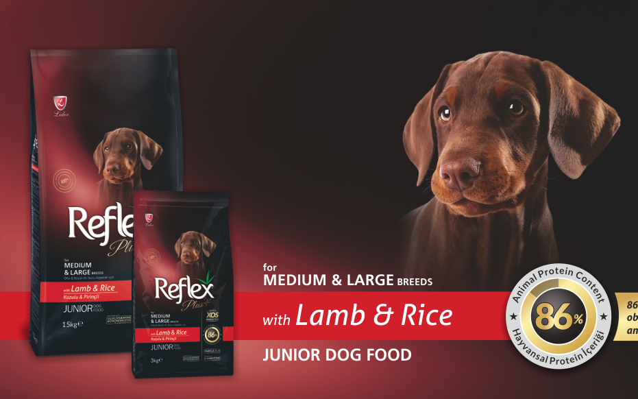 54c8688e5ce599080d82