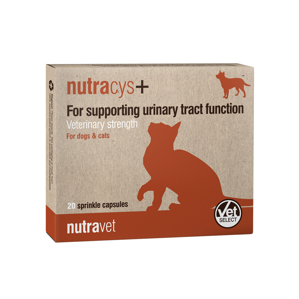 Nutravet Nutracys+ – קפסולות טבעיות לתמיכה בשלפוחית השתן ובריאות דרכי השתן אצל כלבים וחתולים.