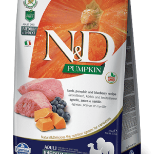 תזונת כלבים בינוניים/גדולים עם כבש ודלעת – לחיזוק שריר, עיכול פעיל, ברק פרווה ותמיכה מפרקית ללא דגנים.