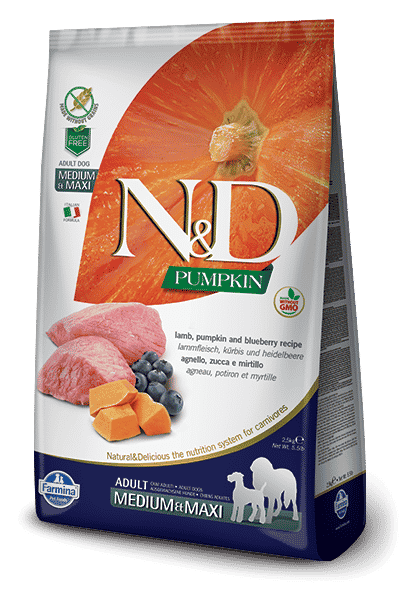 תזונת כלבים בינוניים/גדולים עם כבש ודלעת – לחיזוק שריר, עיכול פעיל, ברק פרווה ותמיכה מפרקית ללא דגנים.