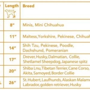 6083767977ce400d8972 6083767977ce400d8972