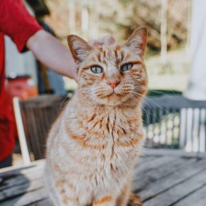 65f1b7bb15b07693fcdb 65f1b7bb15b07693fcdb