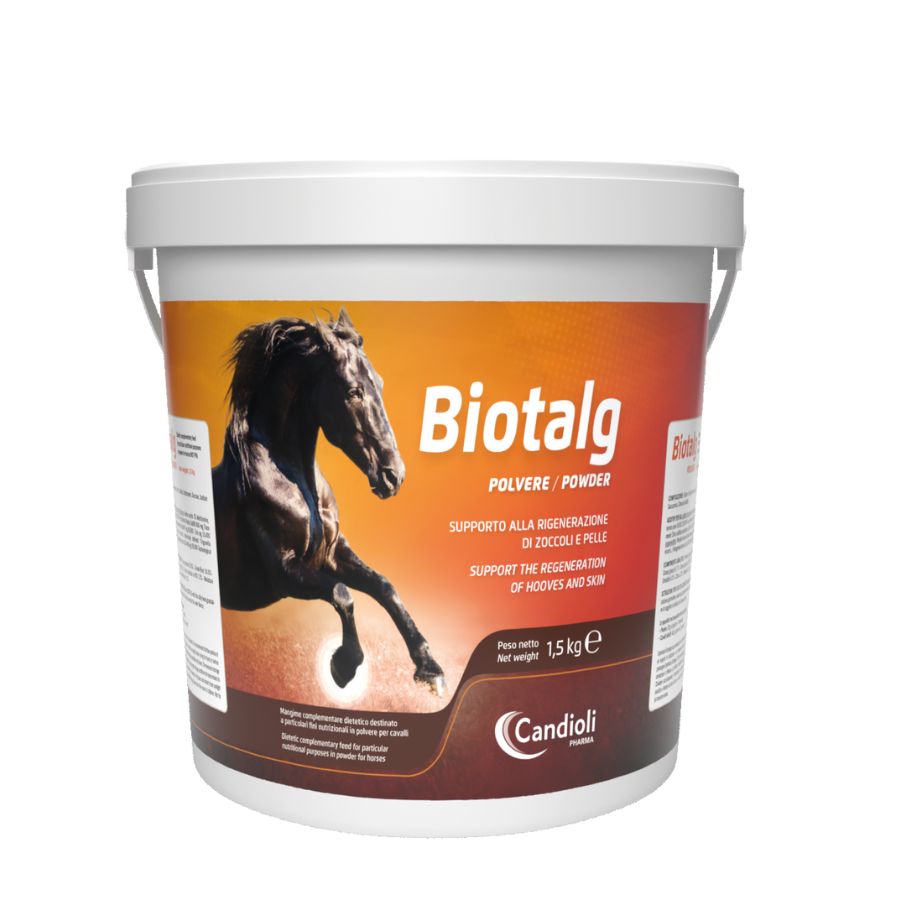 דלי Biotalg 600 ג' – תוסף חזק ויעיל לחיזוק ציפורן הפרסה בסוסים, עם ביוטין וסיבים טבעיים.