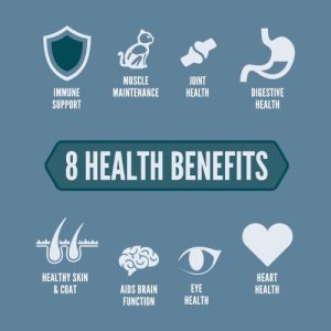 אוריג’ן חתול 8 -Orijein