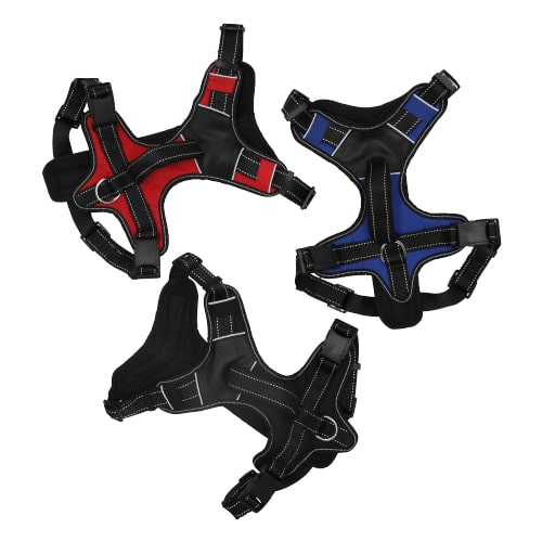 רתמת ספורט מרופדת L של פ.ב.שי – בצבע שחור או אדום, עם ריפוד, אבזם קדמי וידית שליטה עליונה.