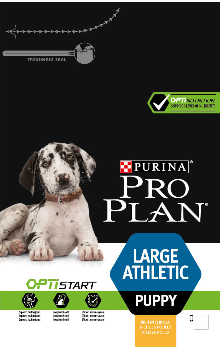 פרופלאן גור כלב גדול עוף Pro plan