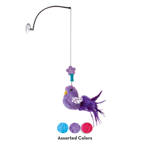 קונג טסטר בירד 2