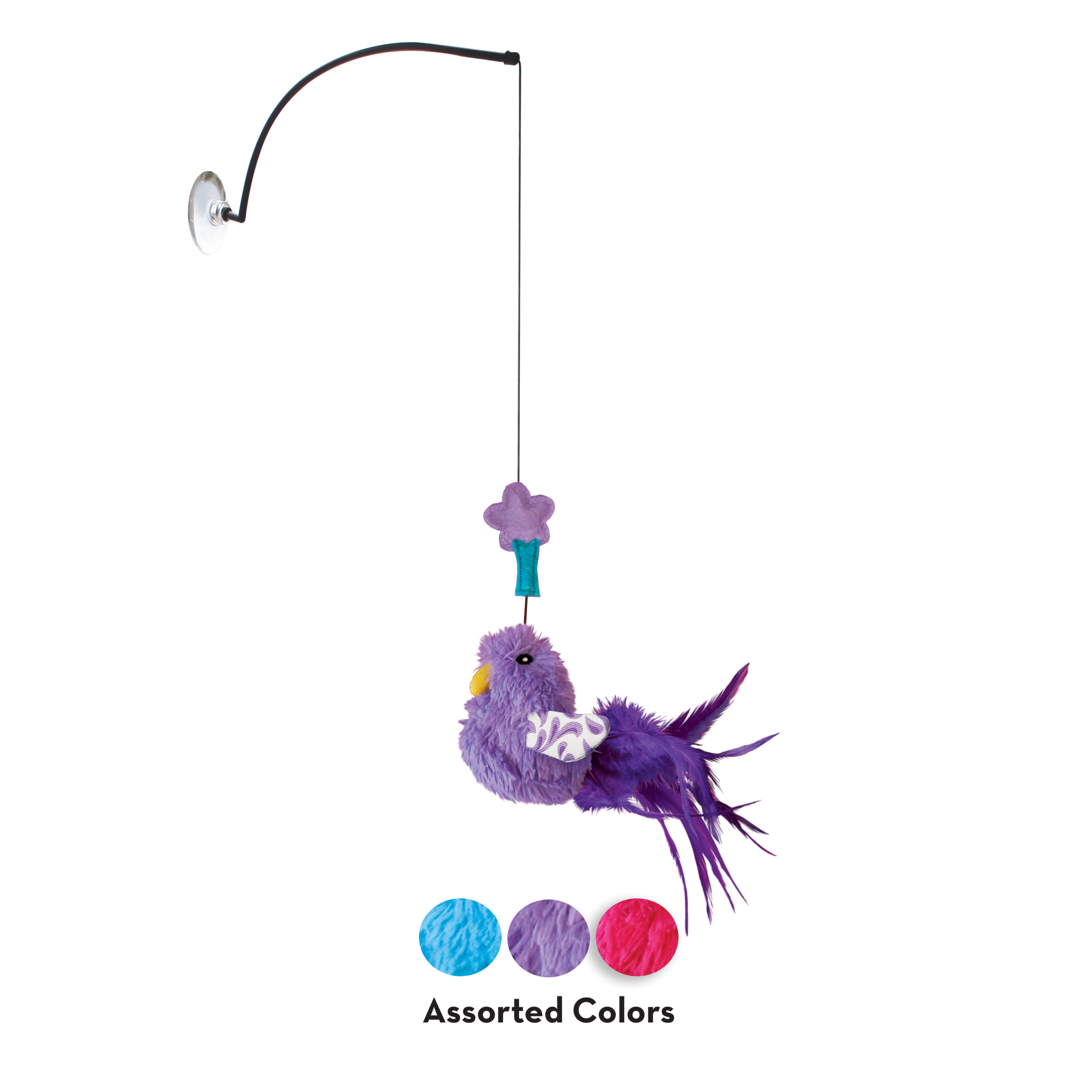 קונג טסטר בירד 2