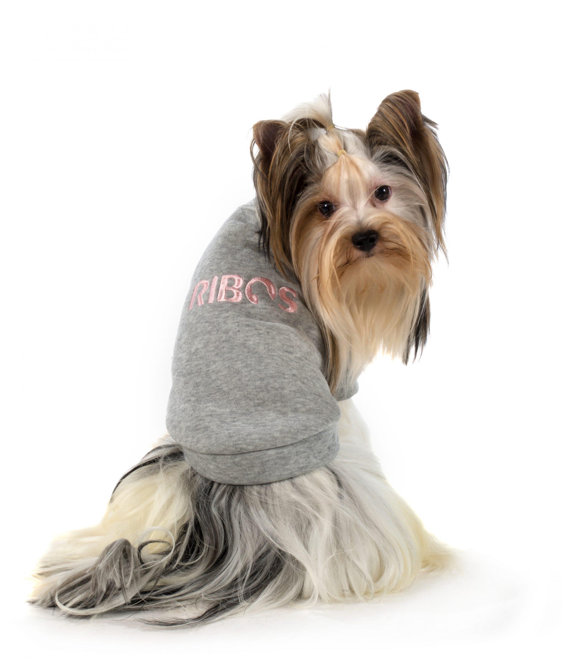 7533ca7545249a12fd35 7533ca7545249a12fd35