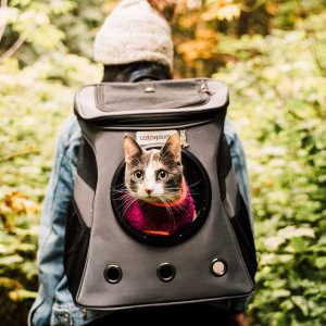 גו! חתול קרניבור סלמון ודג קוד 3.7 קג !Go תמונה גו! חתול קרניבור סלמון ודג קוד 3.7 קג !Go תמונה