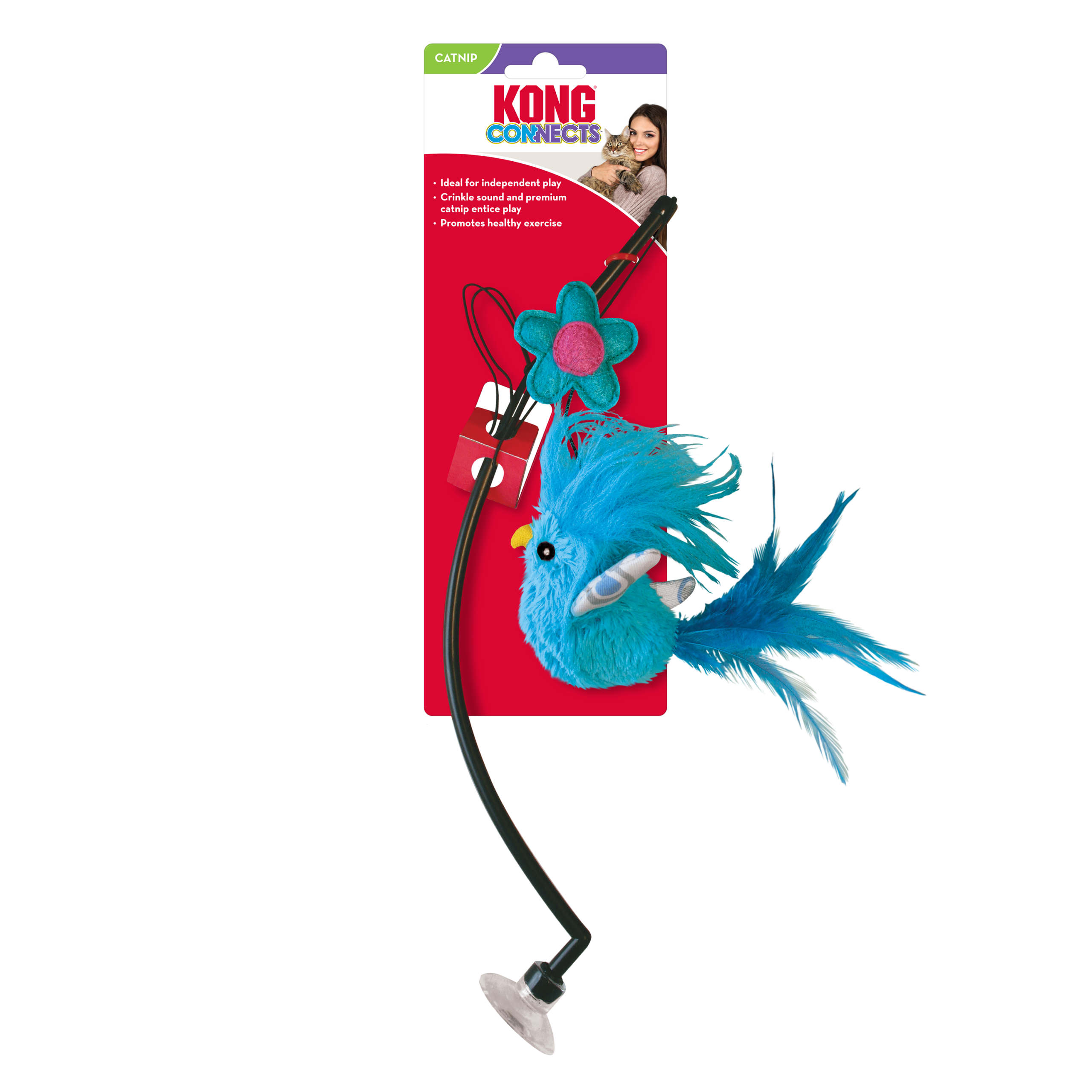 חתול משחק עם חכת קונג בעלת נוצות צבעוניות