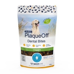 פלאק אוף דנטל בייטס פלאק אוף דנטל בייטס