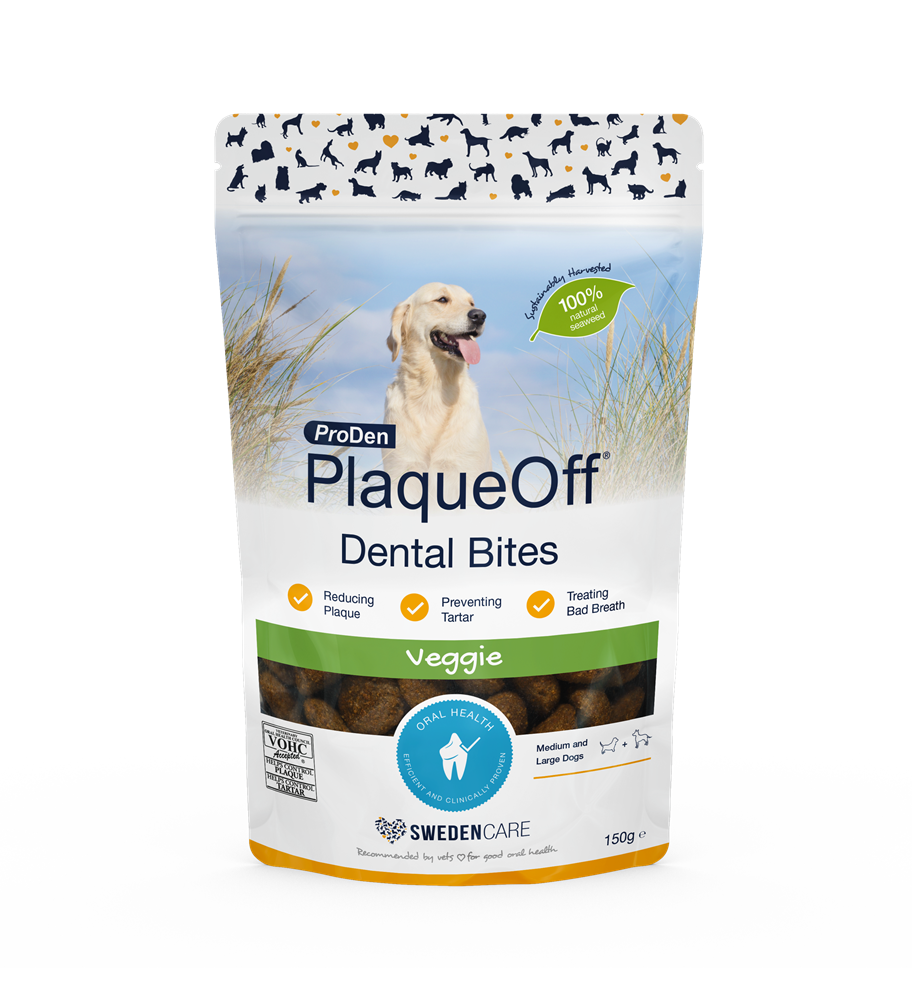 פלאק אוף דנטל בייטס פלאק אוף דנטל בייטס