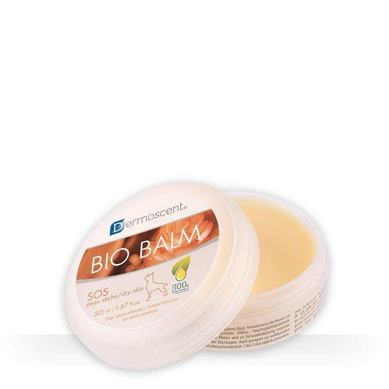 צנצנת משחת BIO BALM 50 מ"ל של Dermoscent – משחה טבעית לטיפול והגנה על עור הכלב