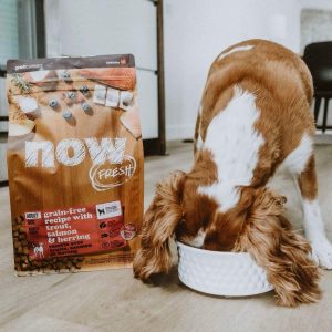 a33cf841a7ed1d604cfb a33cf841a7ed1d604cfb