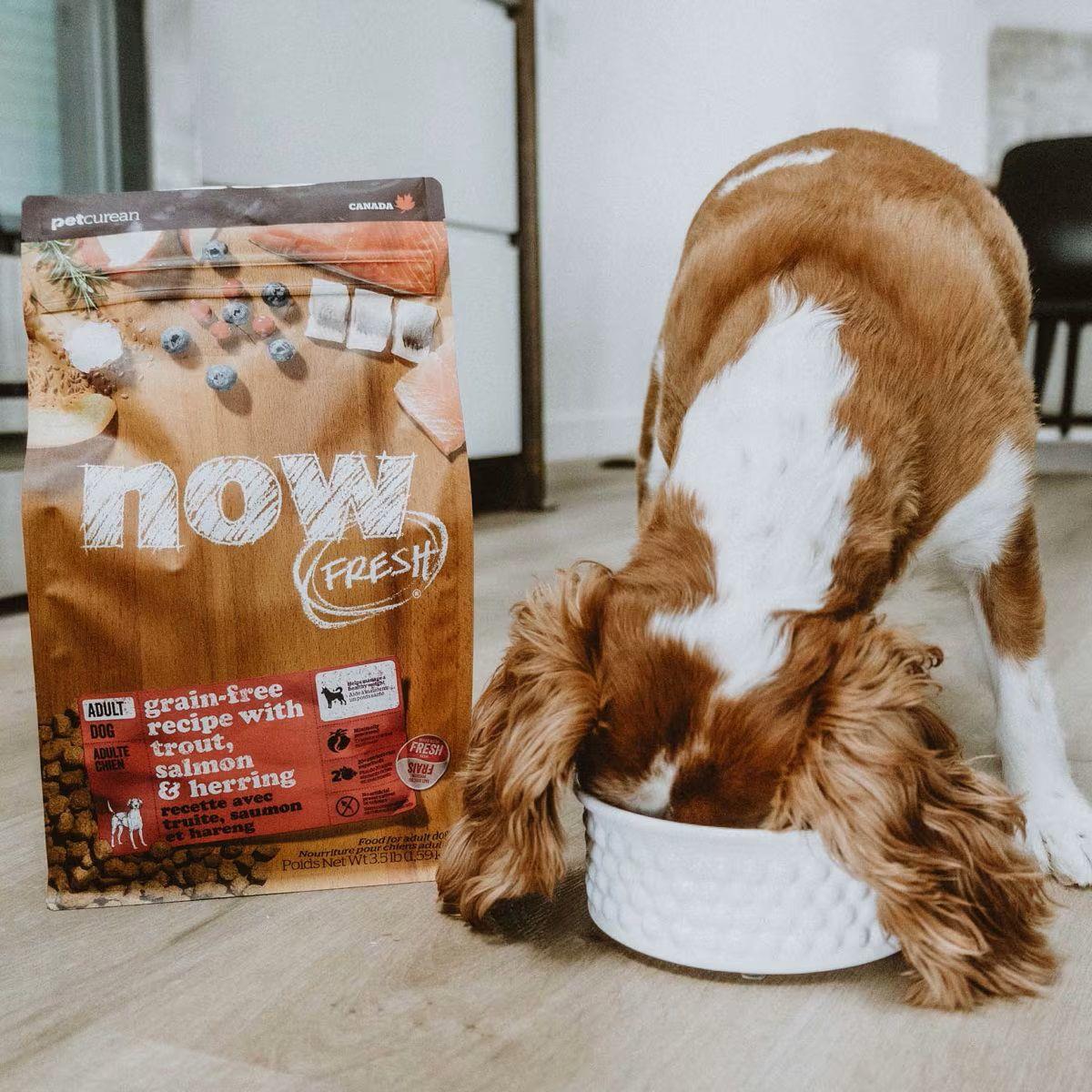 a33cf841a7ed1d604cfb a33cf841a7ed1d604cfb