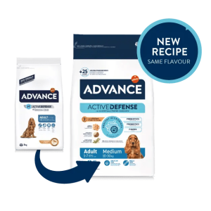 אדוונס כלב M בוגר 14 קג מכיל הגנה אקטיבית לשיפור פעילות מערכת החיסון.ושליטה על המשקל, לכלב בוגר גזע בינוני