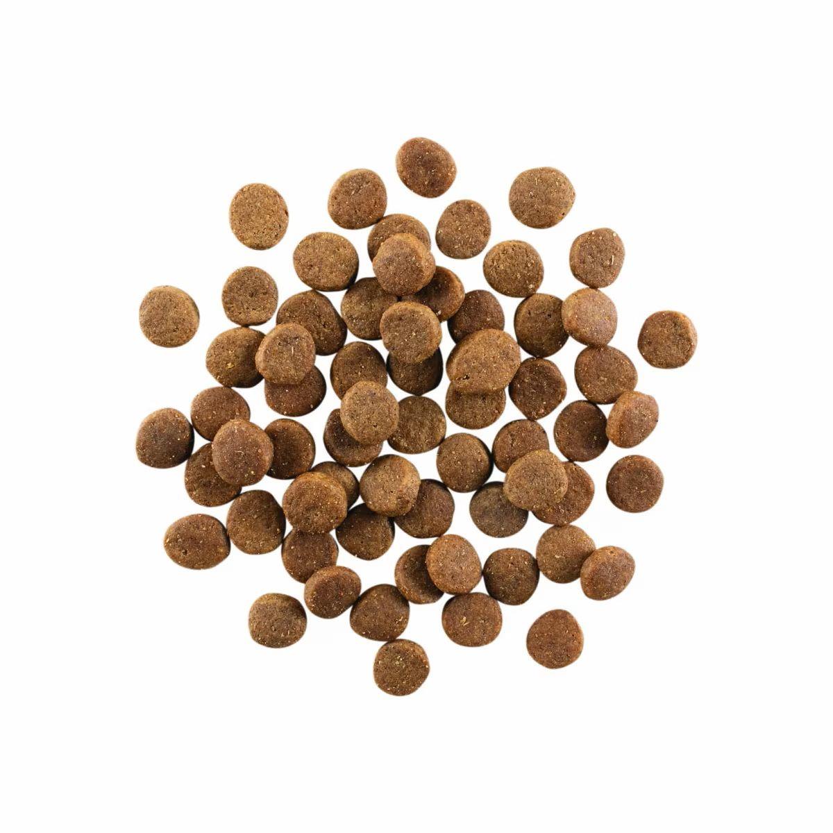 גו! קרניבור סניור / בוגר / גור כלב  !Go