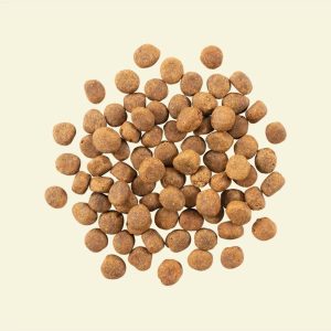 נאו כלב בוגר דגים Now