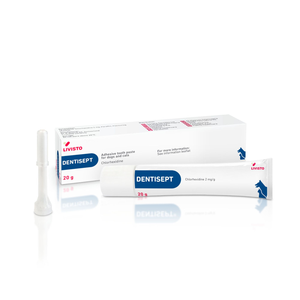 צינור 20 גרם של דנטיספט, משחה אוראלית דביקה עם אפליקטור לטיפול בפלאק ודלקות בפה של כלבים וחתולים