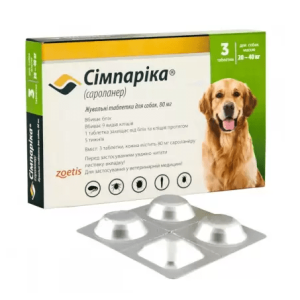 c389bd609816ce28de87