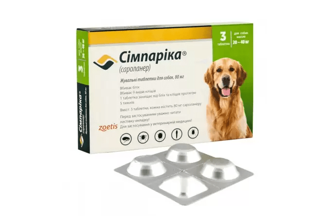 c389bd609816ce28de87