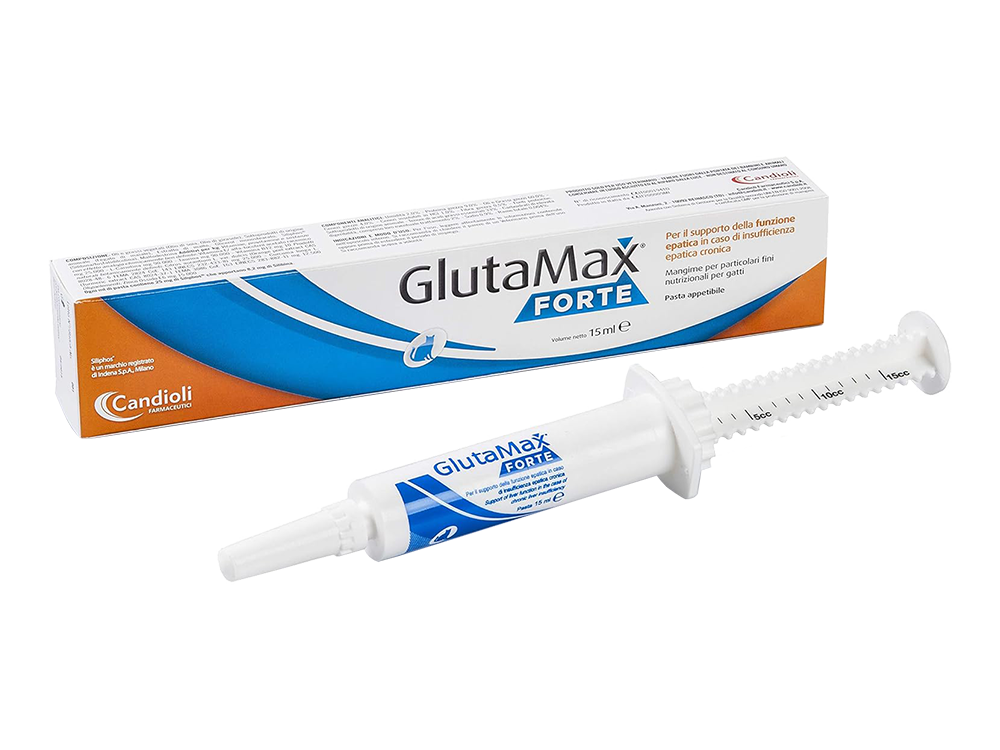מזרק משחה Glutamax Forte 15 מ"ל – תוסף לחיזוק תפקוד הכבד של חתולים, משחה טעימה מבוססת Siliphos® ויטמין E.