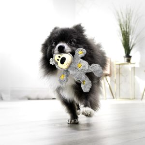 קונג ווילד דב עם חבל 5