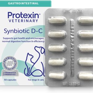 קופסת סינביוטיק D‑C – 50 קפסולות פרה‑פרוביוטיקה לאיזון מערכת העיכול.