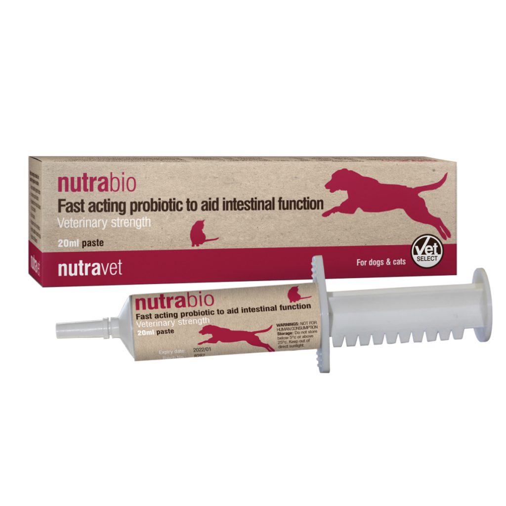 מזרק NutraBio 20 מ"ל – פסטת פרוביוטיקה מהירת פעולה לתמיכה בעיכול של כלבים וחתולים.
