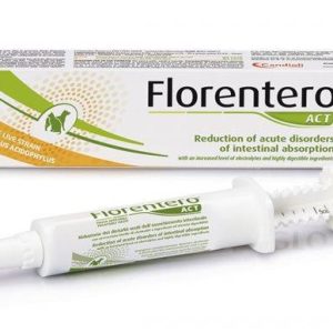 פלורנטרו אקט תוסף משחה למערכת העיכול Florentero Act