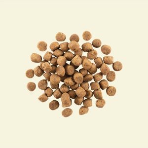 נאו כלב בוגר Now